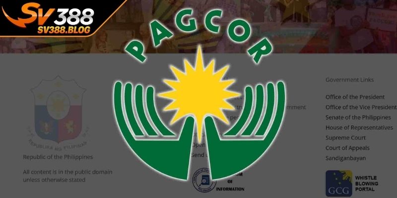 Các loại giấy phép phổ biến