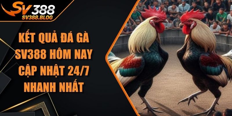 Kết Quả Đá Gà