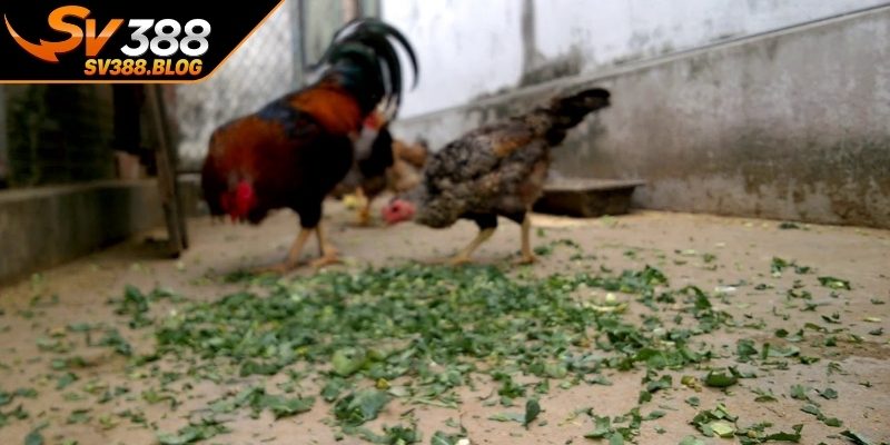Rau xanh và khoáng chất