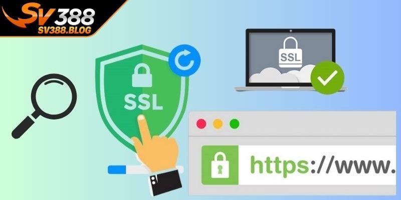 Link vào SV388 2026 là gì