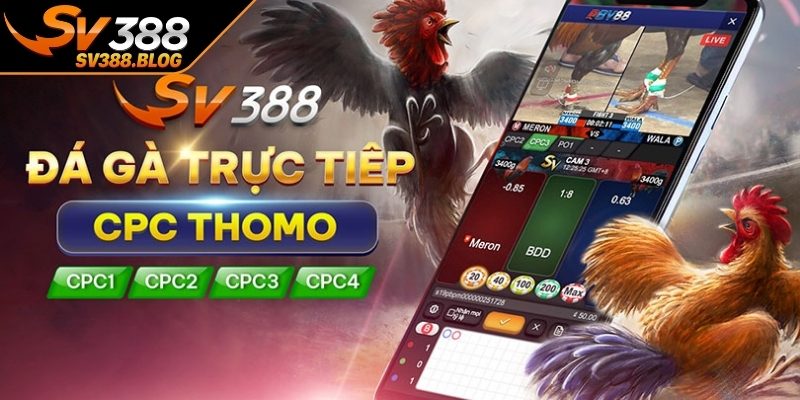 Áp lực cạnh tranh thị trường