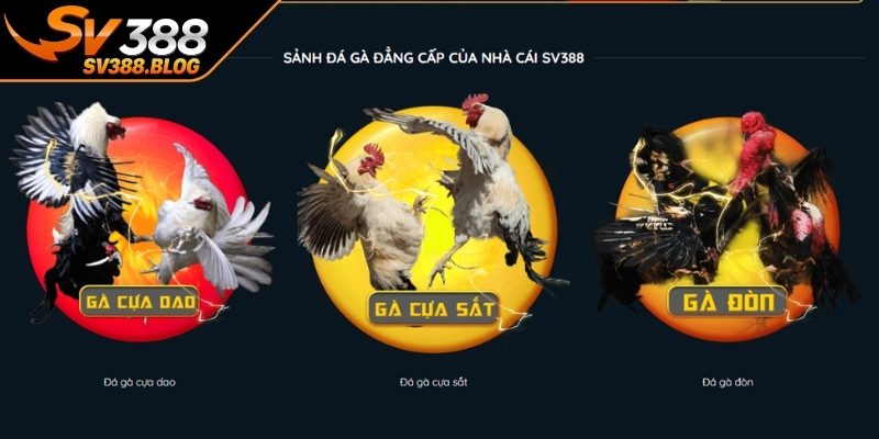 Cách tận dụng tin tức để nâng cao hiệu quả tham gia